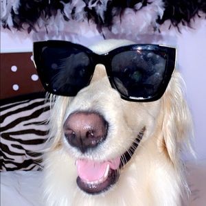 Meet your Posher, Peyton